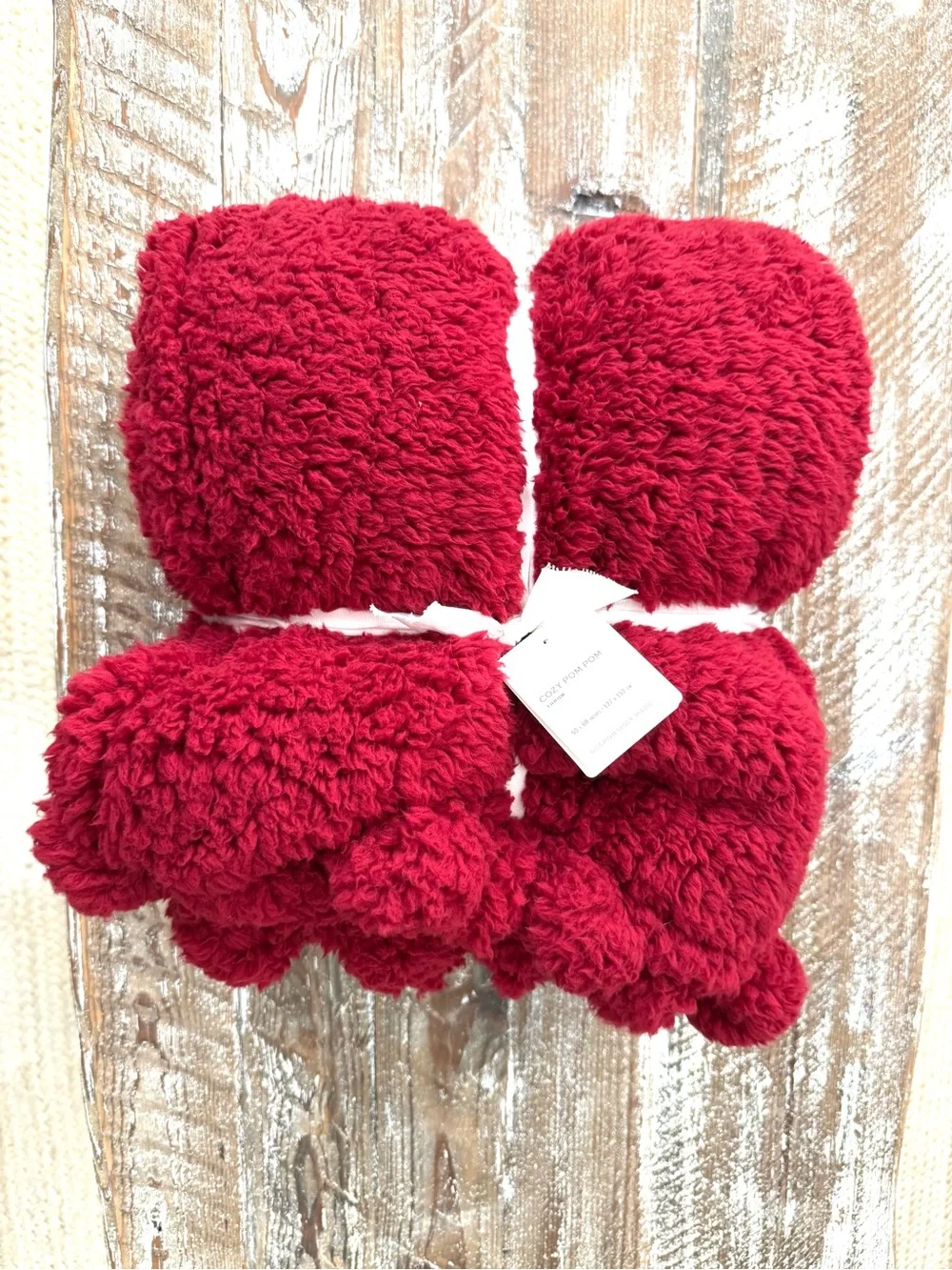 Pottery Barn Cozy Pom Pom Throw